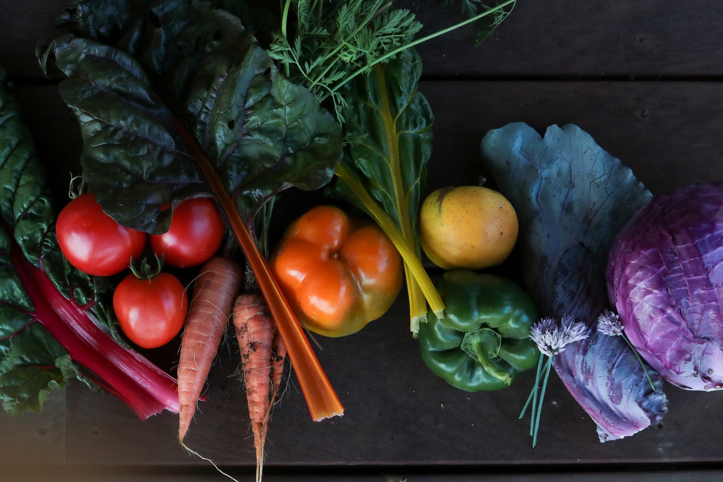 Wildness is in the Green of Oak Leaves by Shay Schmida