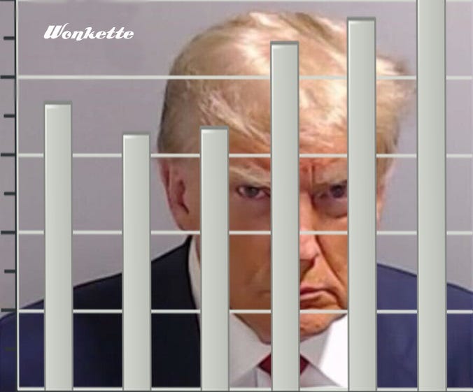 Donald Trump's mug shot, with a generic bar graph overlayed to make it look like he's in jail 
