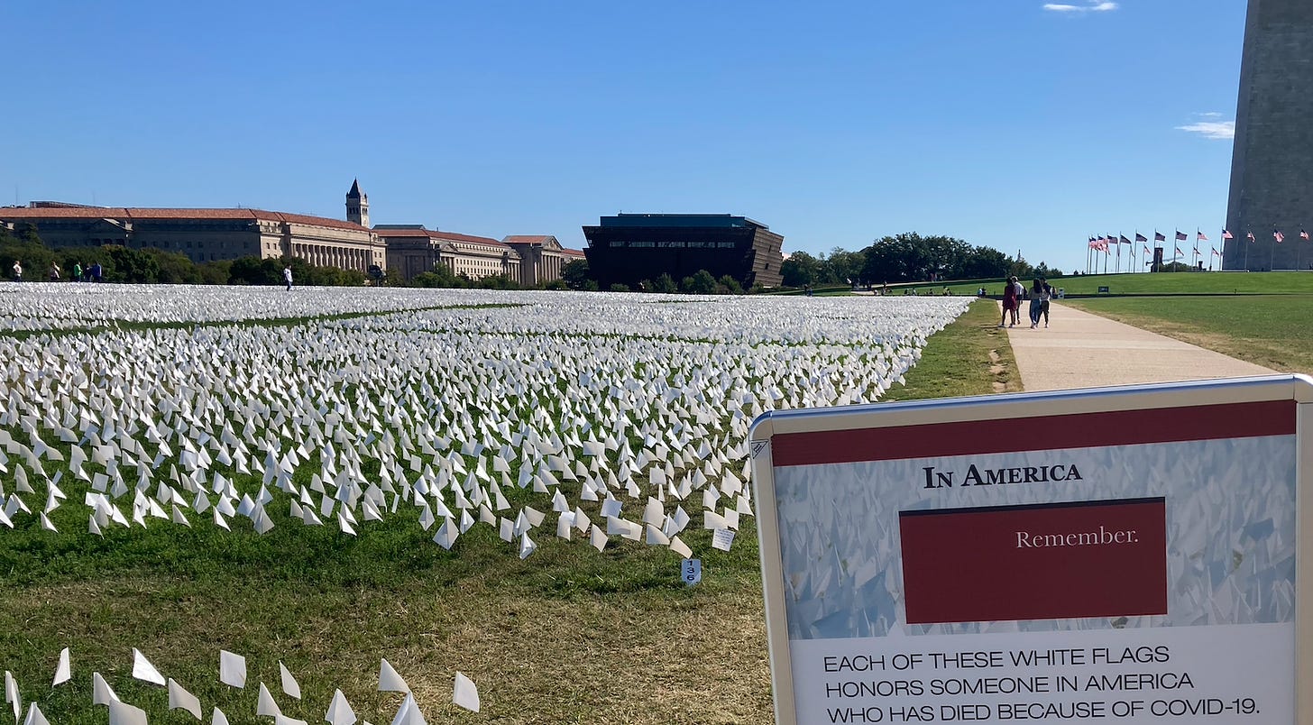 Photo from the National Mall, Sept. 2021, of the temporary covid memorial.