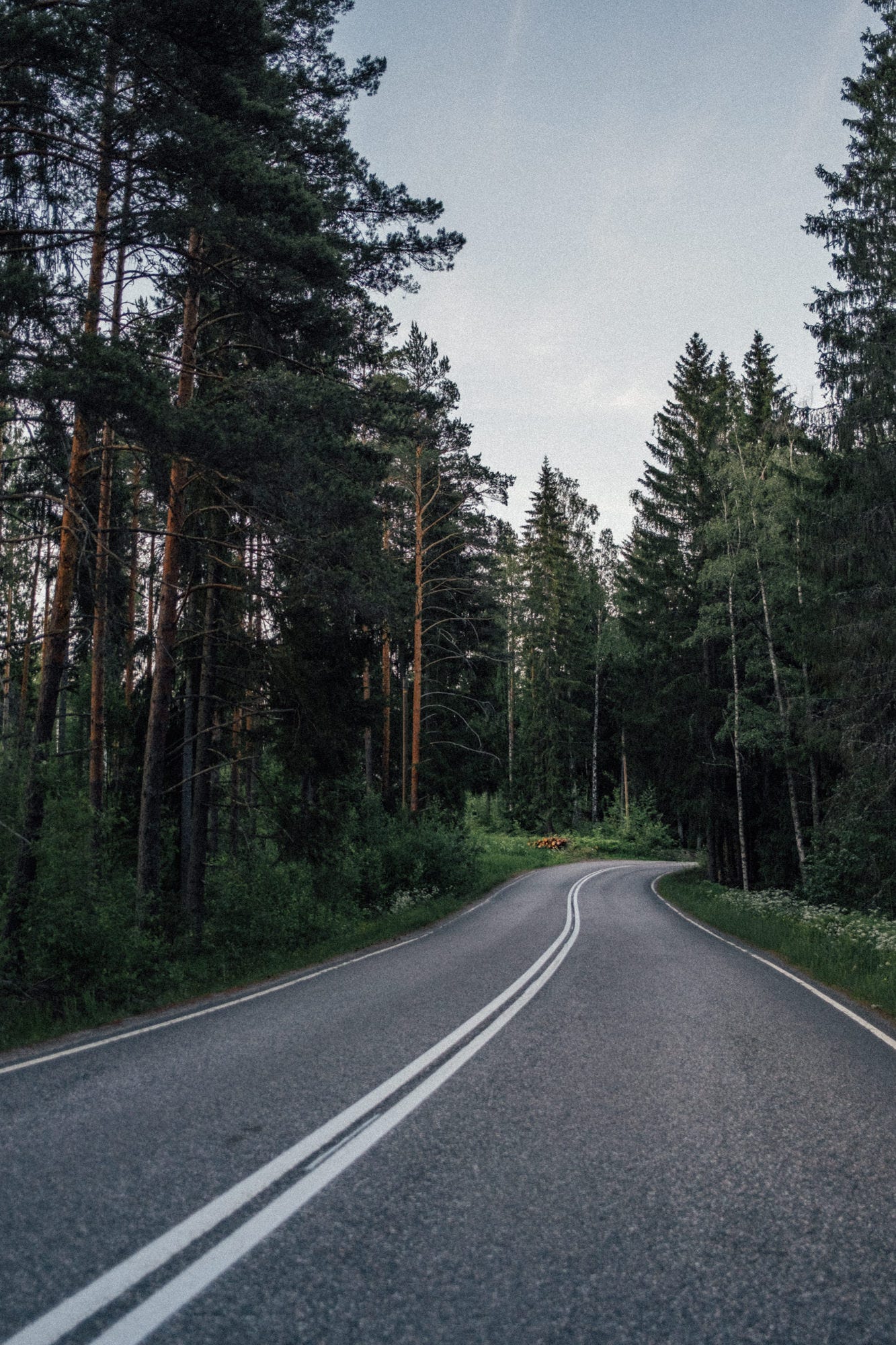 road between the forest in finland
