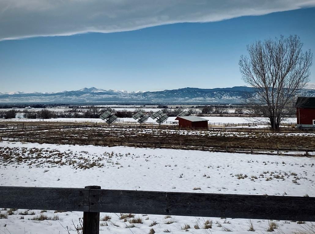 A snowy field with a fence

Description automatically generated