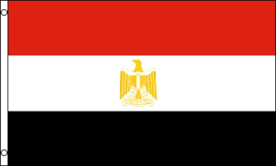 Amazon.com : Egypt Flag 3x5ft Poly : Patio, Lawn & Garden