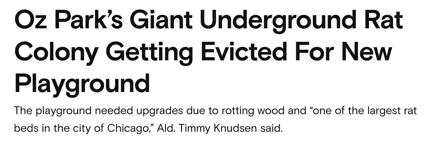 Headline and subheading that read: Oz Park’s Giant Underground Rat Colony Getting Evicted For New Playground The playground needed upgrades due to rotting wood and “one of the largest rat beds in the city of Chicago,” Ald. Timmy Knudsen said.