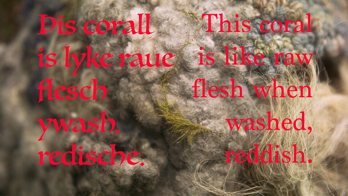 A film still. The still shows a close up of a headpiece. It is different shades of grey, with lumps of tufted wool and sections of detailed embroidery. On top of this is a text across the screen, in a vibrant, almost fluorescent coral red. There are two columns: the left column reads ‘Pis corall is lyke raue flesch ywash, redische.’ The right is a translation, reading ‘This coral is like raw flesh when washed, reddish.’