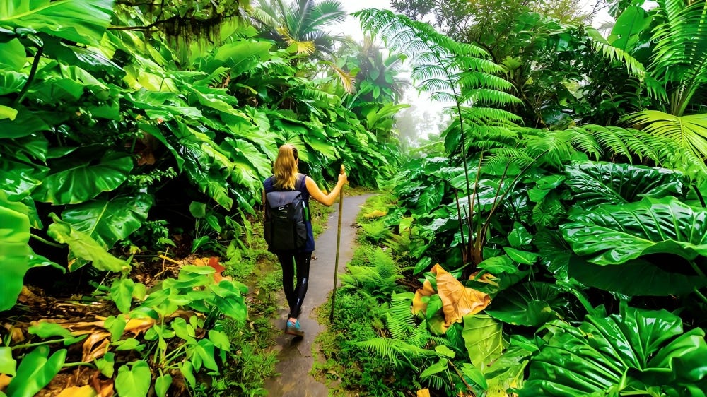 A traveler walks through a lush, tropical jungle pathway, showcasing a serene escape crafted by an AI-powered travel app.