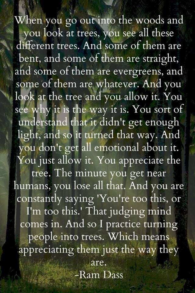 And so I practice turning people into trees." - Ram Dass [640x960] :  r/QuotesPorn