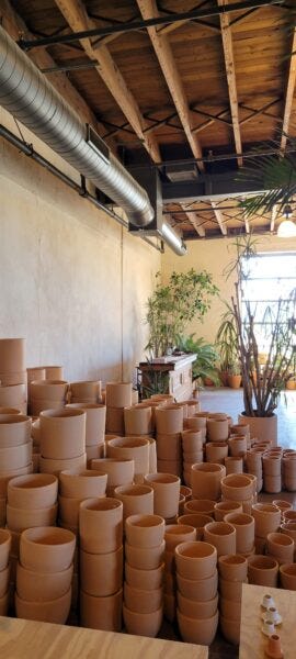 Large store with plants and terracotta pots