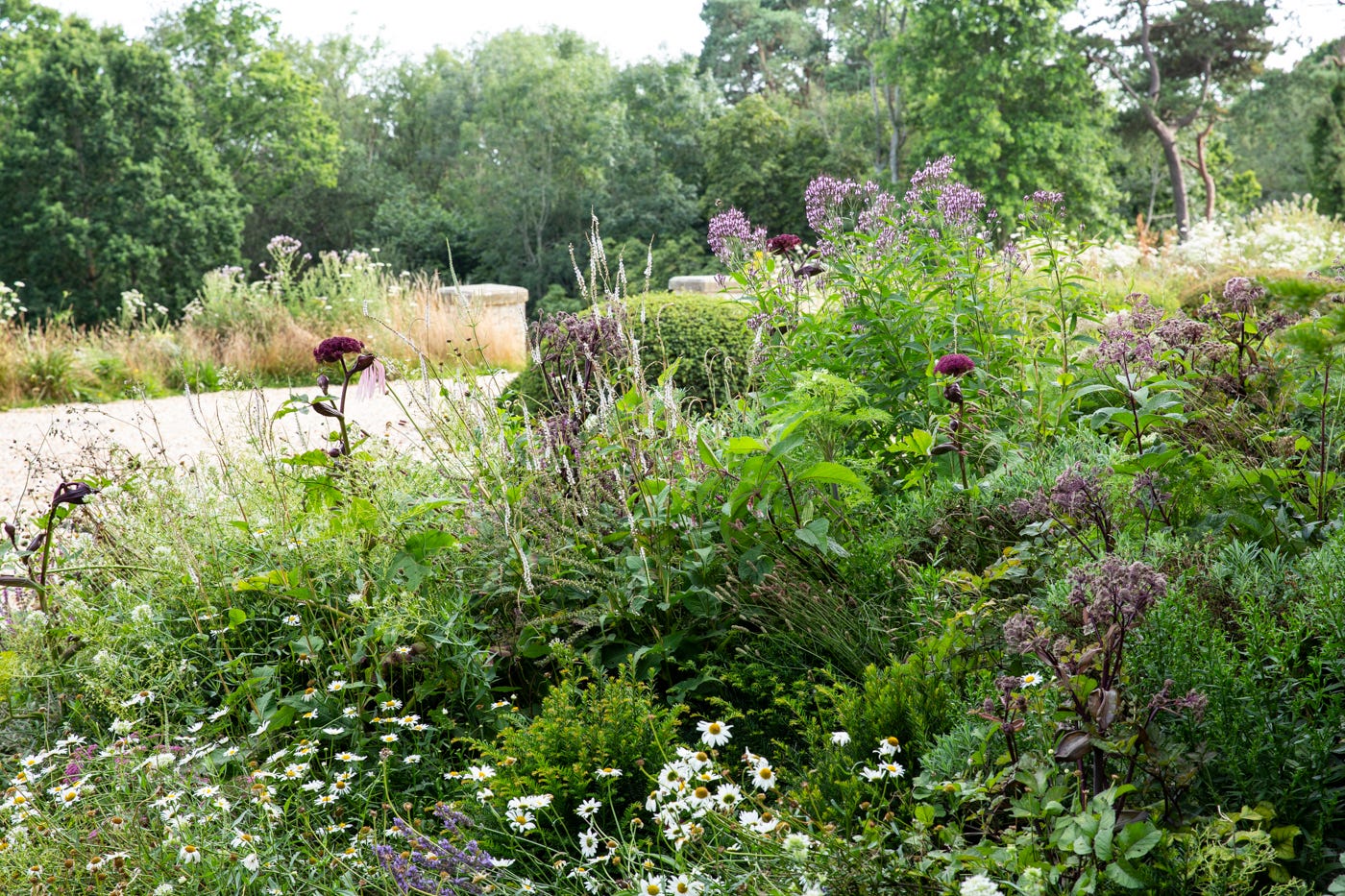 Flowers and trees in a pretty country garden