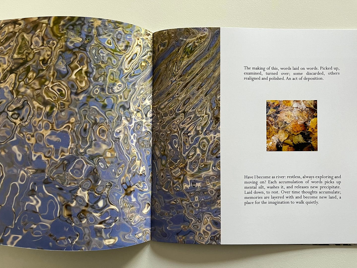 Sample spread from A New Topography by Michela Griffith