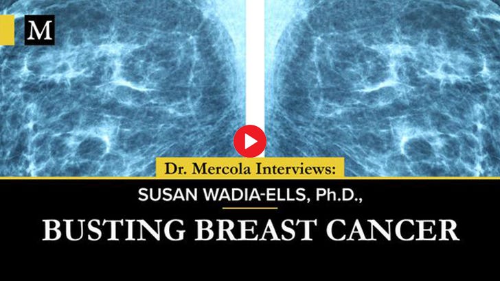Busting Breast Cancer - Interview with Susan Wadia-Ells, Ph.D.