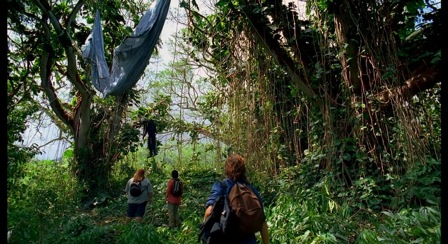 Desmond, Hurley, and Jin approach a tree in which a parachute is draped.