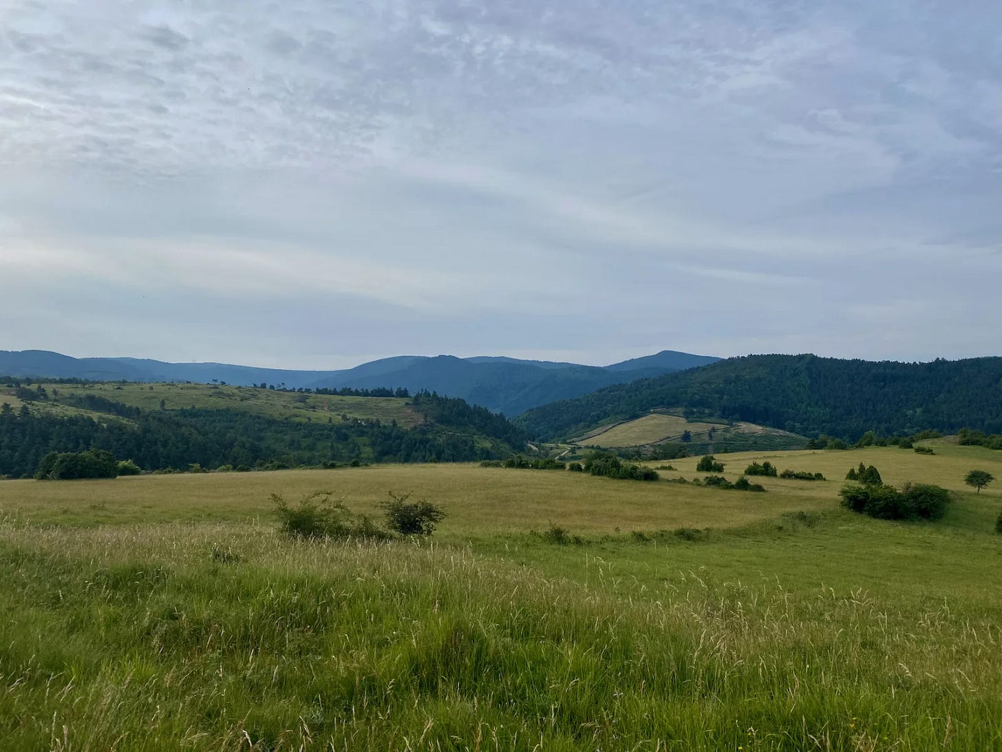 Sur le causse Sur le causse