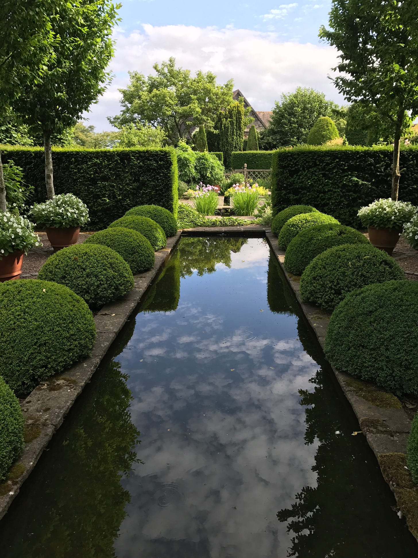 Looking back the other direction down the pool to the rill.