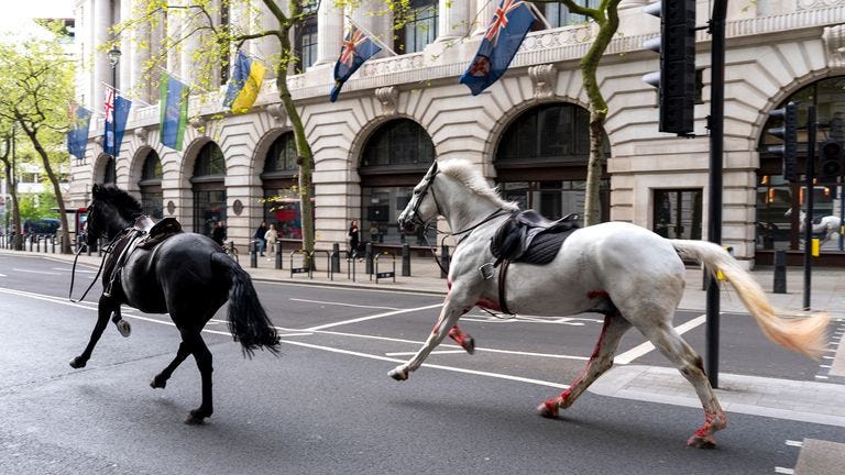 Riderless military horses charge through London causing injury and damage  to vehicles | UK News | Sky News