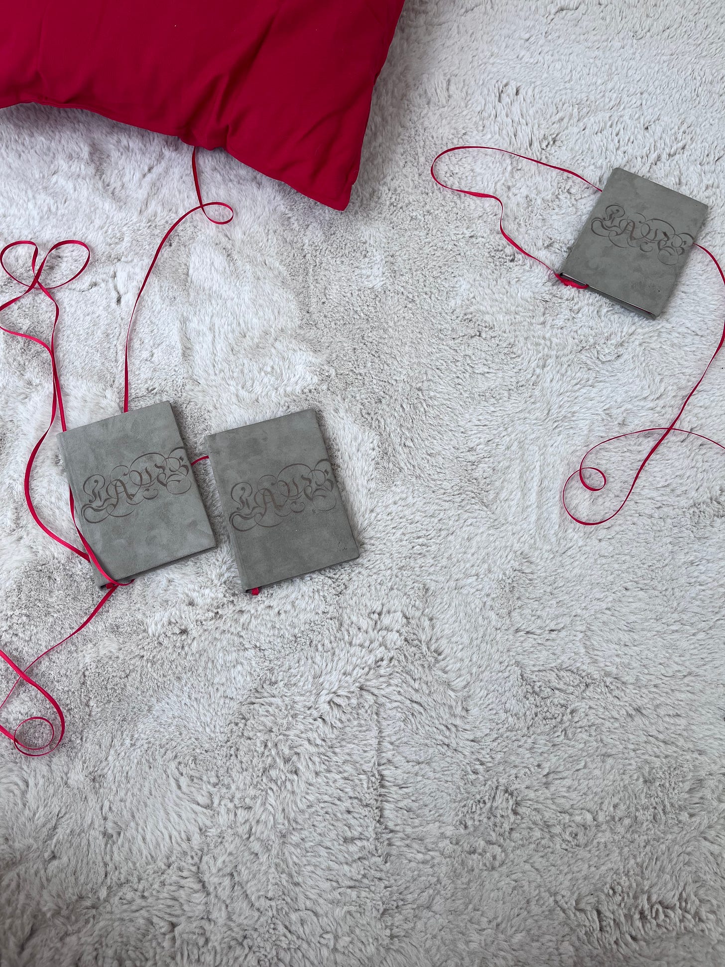 Three copies of LAMB are strewn across a gray rug in this close up shot. A corner of a red pillow is visible, and the ribbons that attach the books to the run trace elegant lines through the frame. 