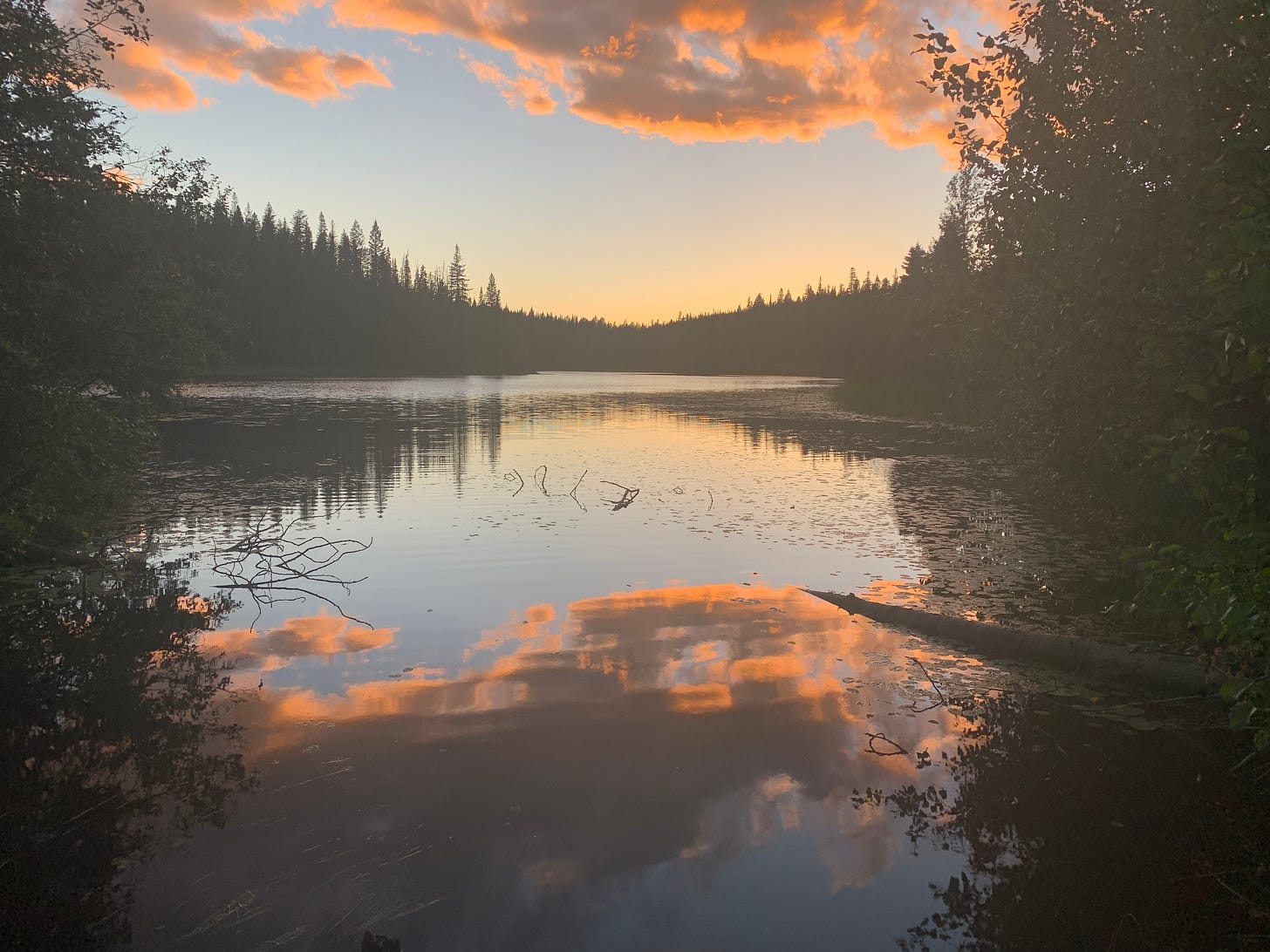 A wide river at dusk with pine trees on either side, the trees and the sunset-peach clouds reflected in the water