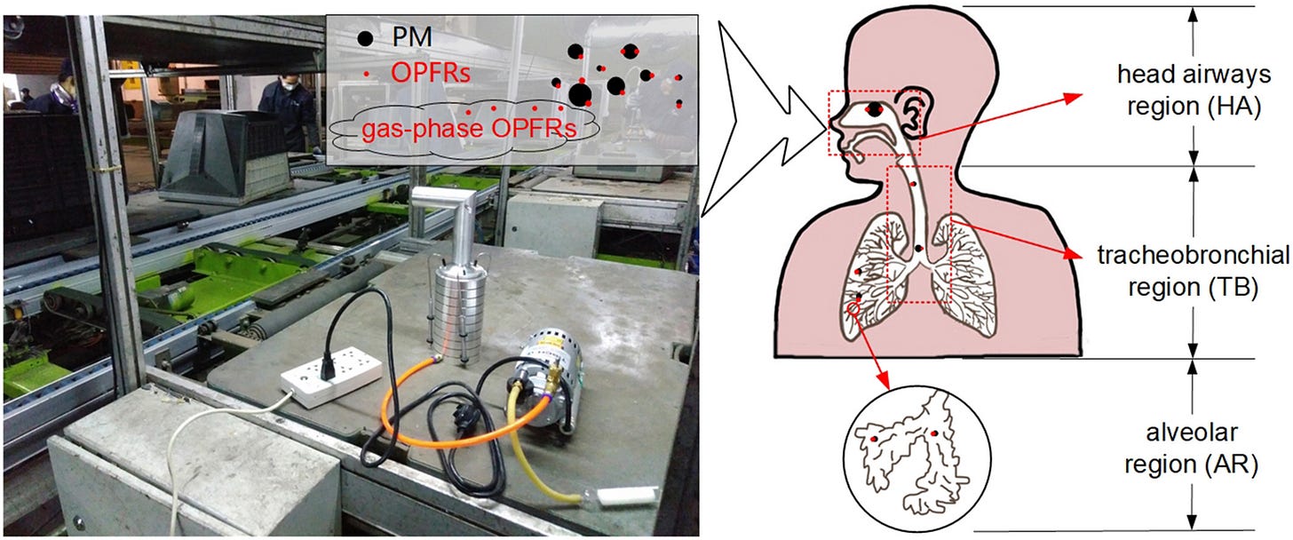 Illustration of OPFR's entering the body and reaching the lungs.