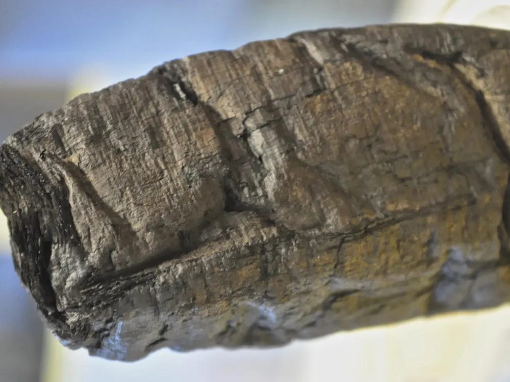 Ancient Scrolls Blackened by Vesuvius Are Readable at Last | History|  Smithsonian Magazine