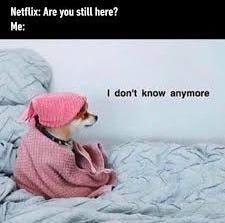 existential crisis - #bingewatch #netflix #memes #9gag