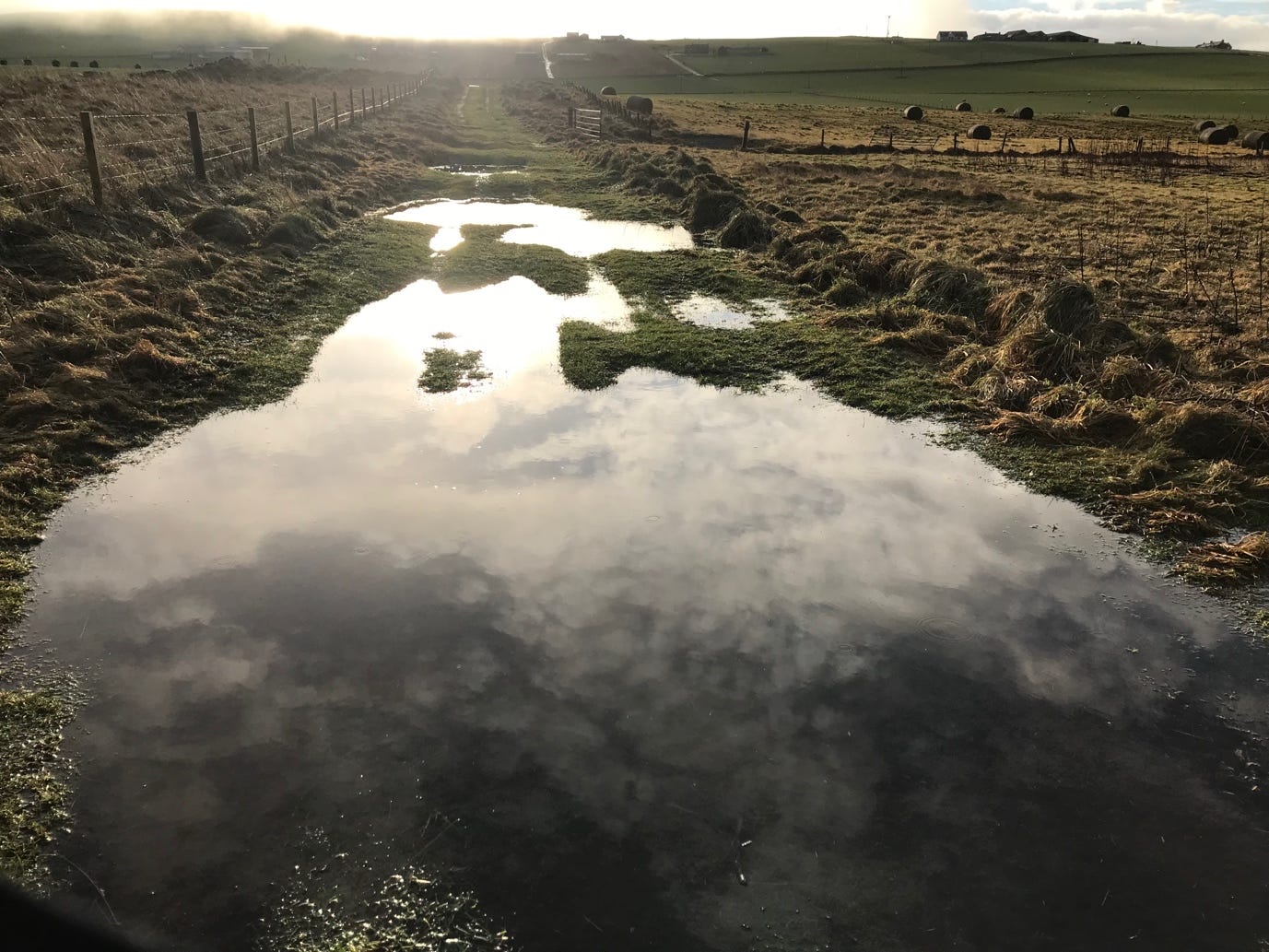 A puddle in a field

Description automatically generated