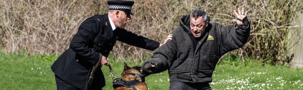 PD Freddie and PC Paul Arthey detain a suspect during the display.