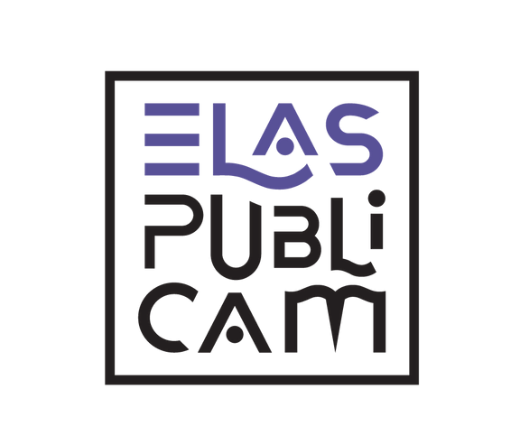 https://www.elaspublicam.com.br/