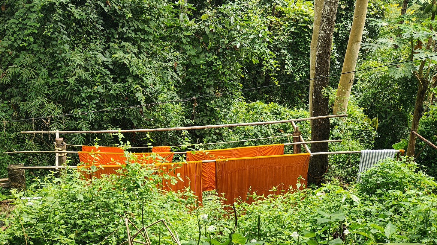 Orange monk robes hung out to dry in a lush green forest