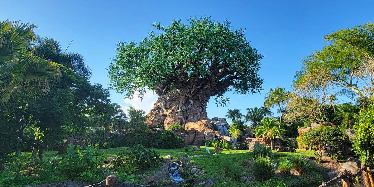 What Does the Tree of Life at Disney Represent? Things You Didn't Know