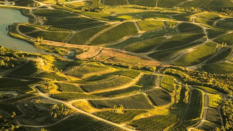 Bodega Garzón's vineyards spread across coastal hills in Uruguay's Maldonaldo province. Photo from ©Bodega Garzón