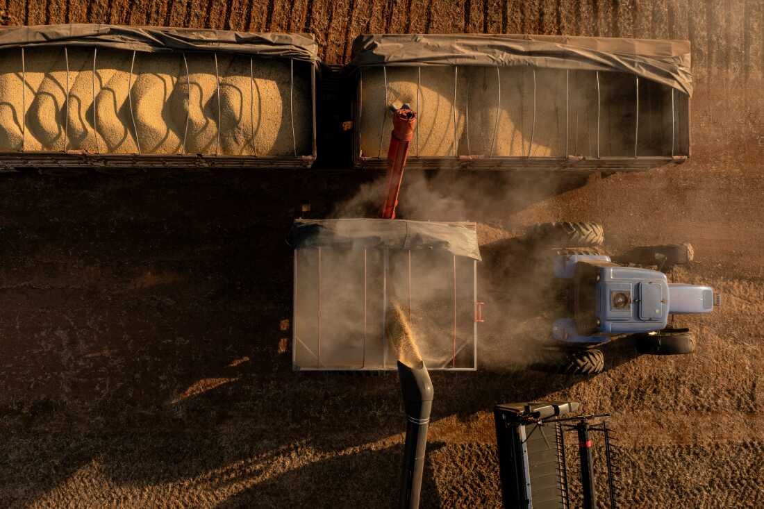 Workers gather soy crops during a harvest at a farm in Orizona, Goias state, Brazil, on Friday, Feb. 21, 2025. Brazil's national supply company has cut the 2024-2025 seasonal soybean output estimate from 166.33m tons to 166.01m tons, lower than analyst expectations. 