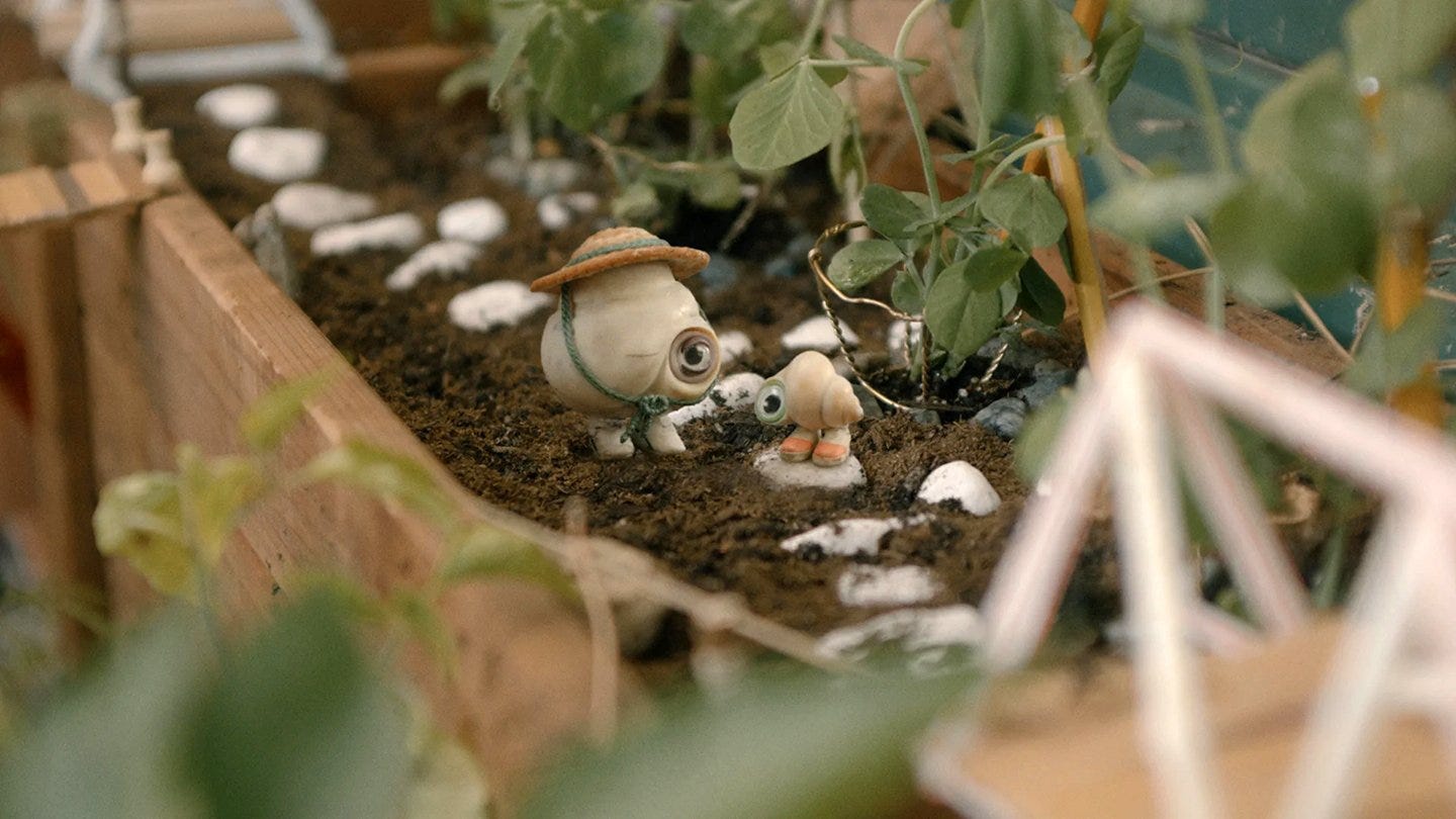 Small Wonder: Marcel the Shell With Shoes On - The American Society of  Cinematographers (en-US)