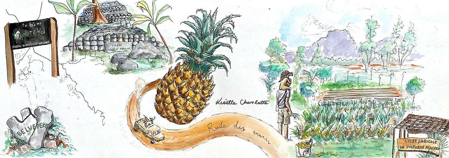 An illustration of Opunohu Valley and the Route Des Ananas in Moorea