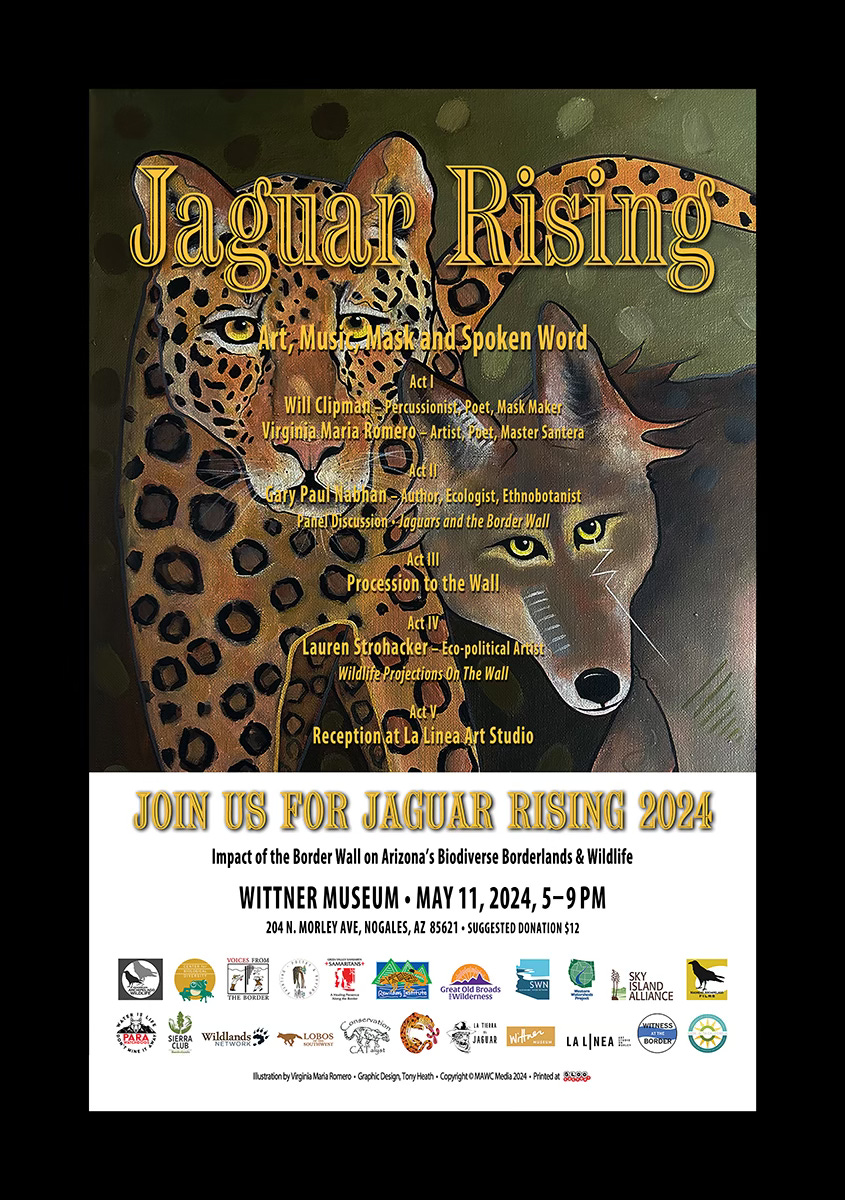 Jaguar Rising 2024, May 11th In Nogales, Arizona