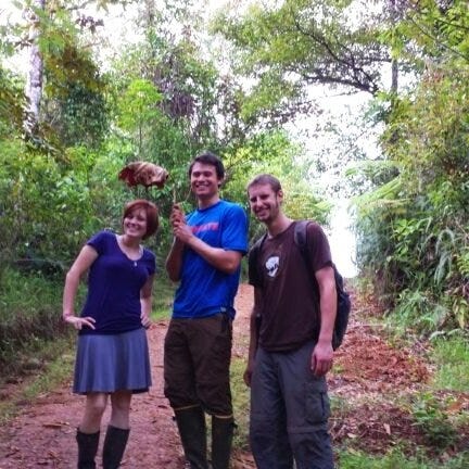 Leaf as an innovative umbrella in the Costa Rican rainforest