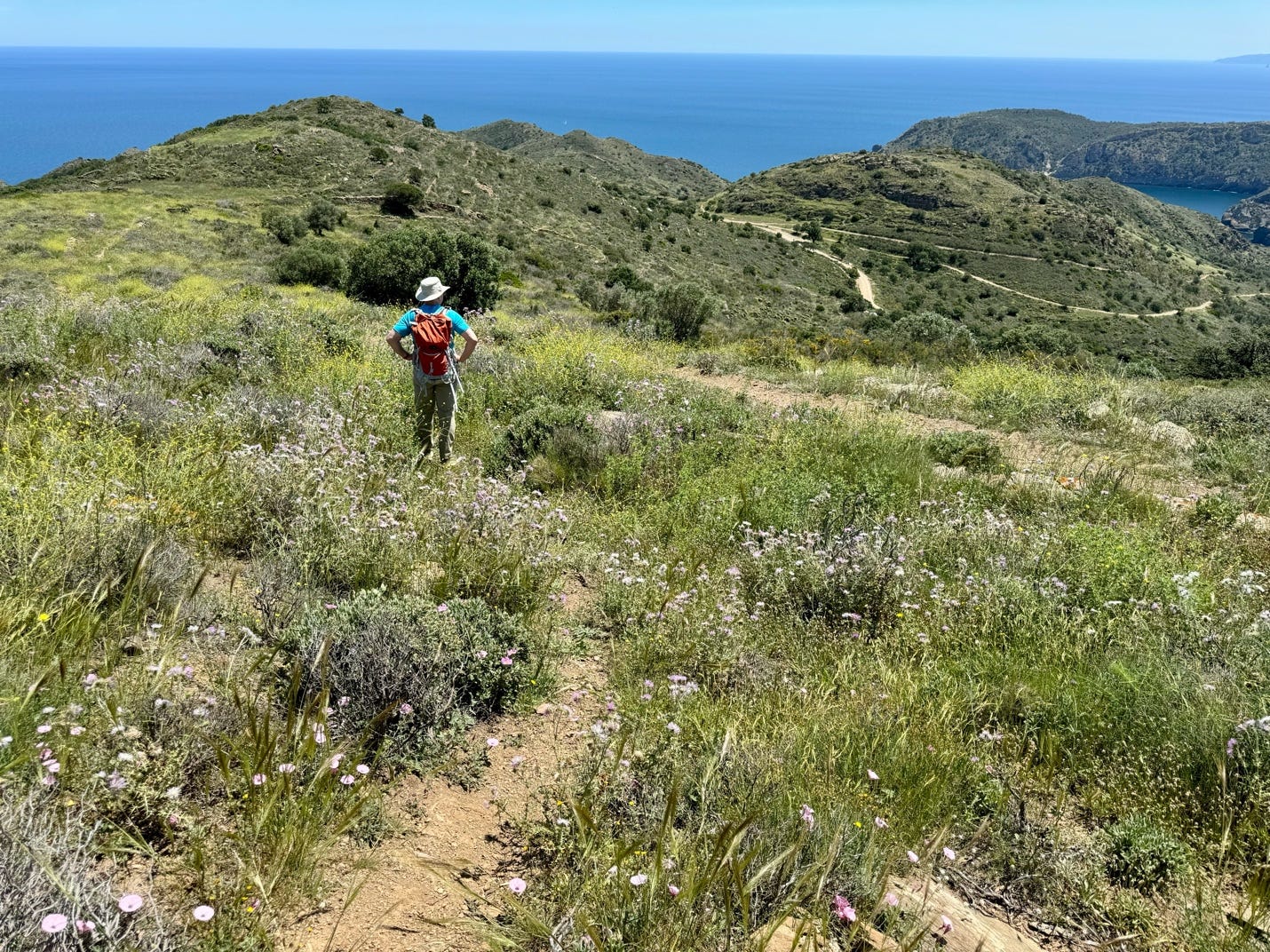 A person standing on a dirt path in a grassy area with a body of water in the background

Description automatically generated