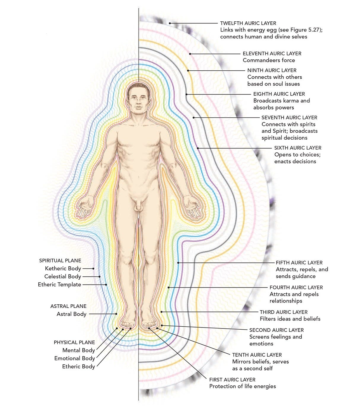 the-subtle-body-and-aura-diagram