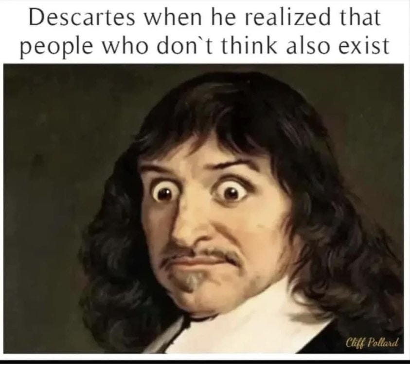 "Descartes when he realized that
people who don't think also exist"
(Painting of Descartes looking bug-eyed-surprised.)