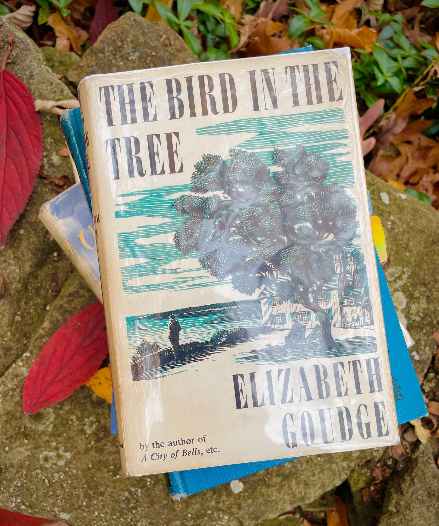 The Bird in the Tree by Elizabeth Goudge