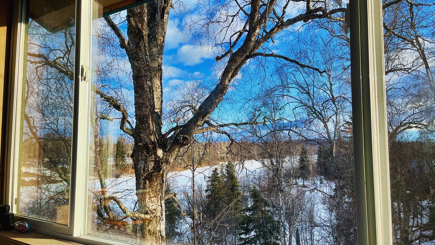 frozen river through a window