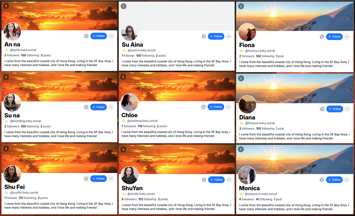 collage of 9 bluesky accounts with the biography "I come from the beautiful coastal city of Hong Kong. Living in the SF Bay Area, I have many interests and hobbies, and I love life and making friends!"