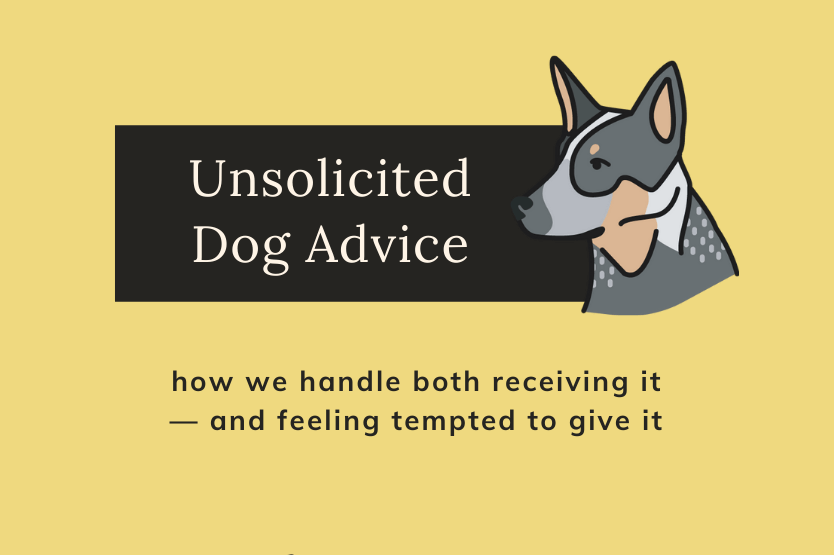 A graphic with an illustration of Scout the blue heeler titled Unsolicited Dog Advice