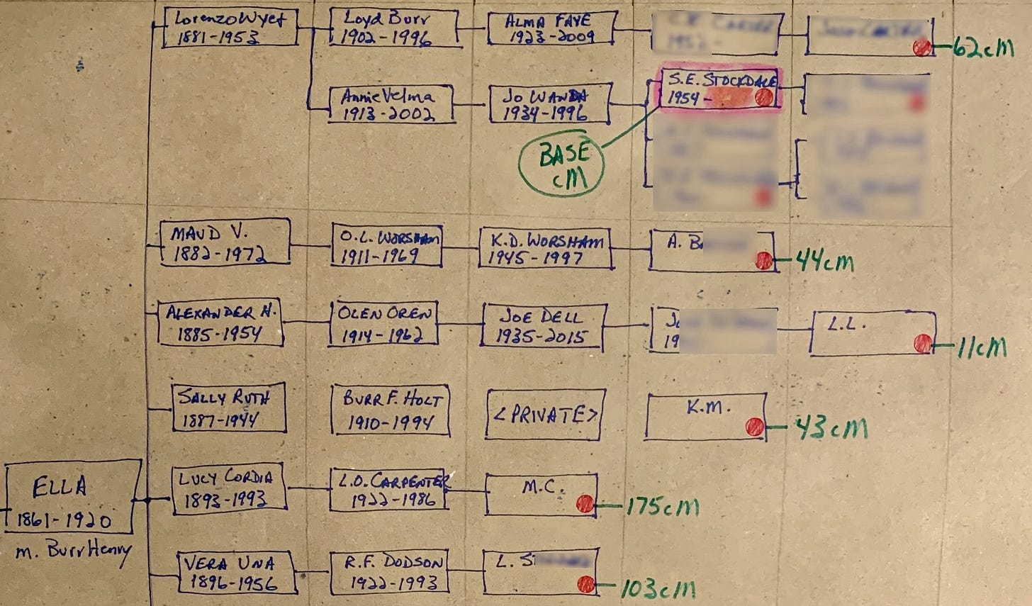hand-drawn multi-branch pedigree chart