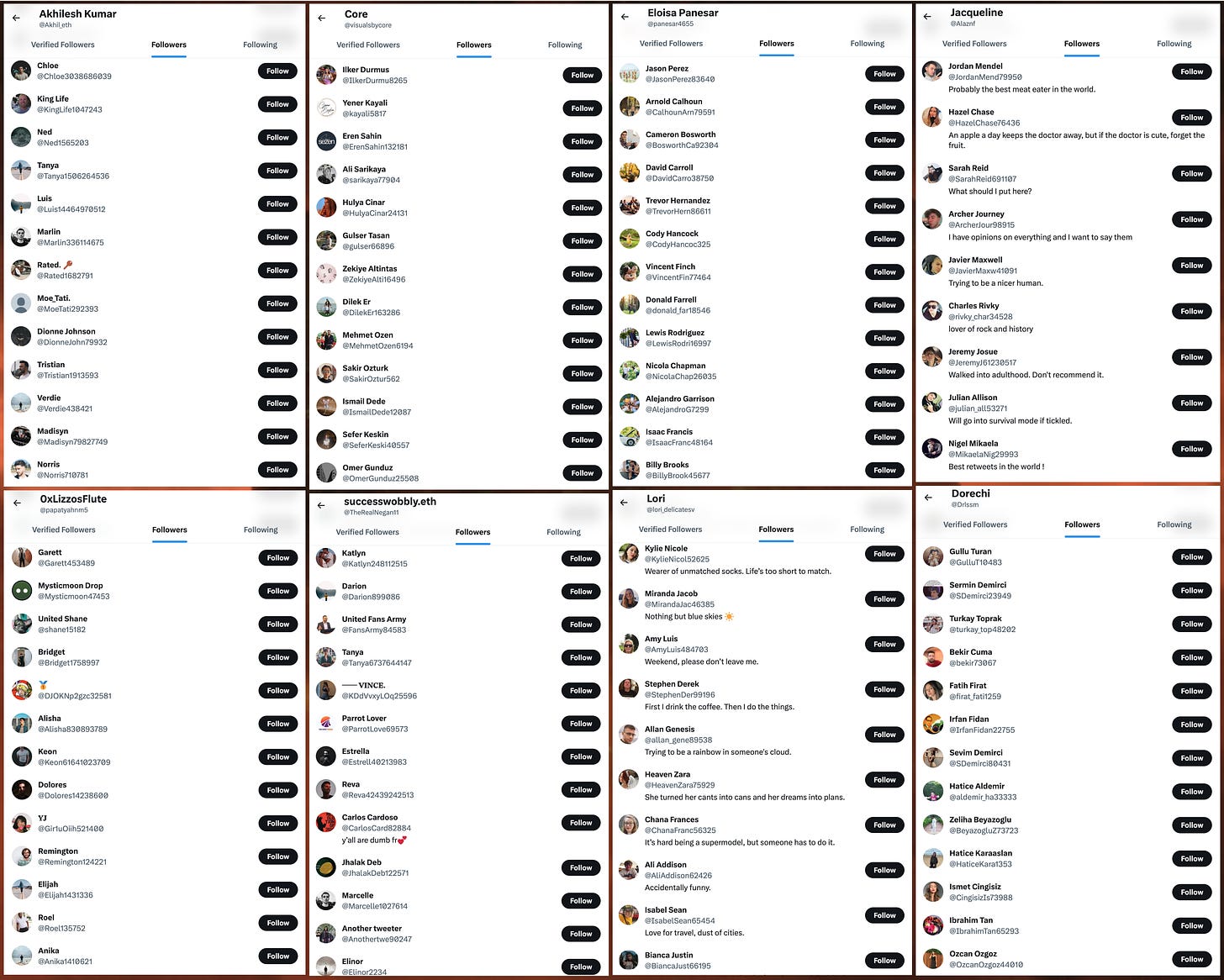 screenshots of the visible followers of some of the accounts that ran crypto spam ads