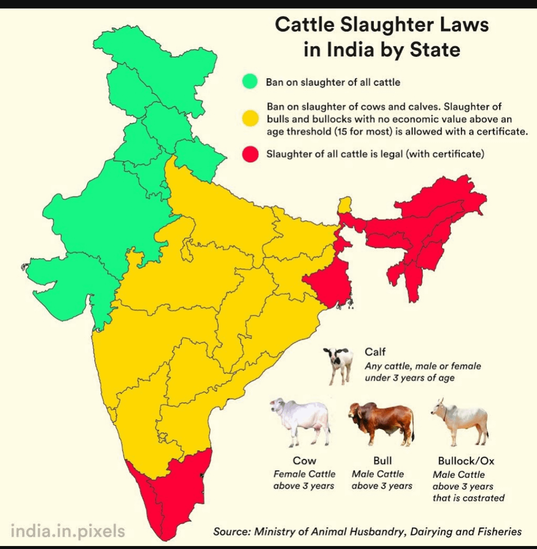 Cattle slaughter laws in India by state : r/MapPorn