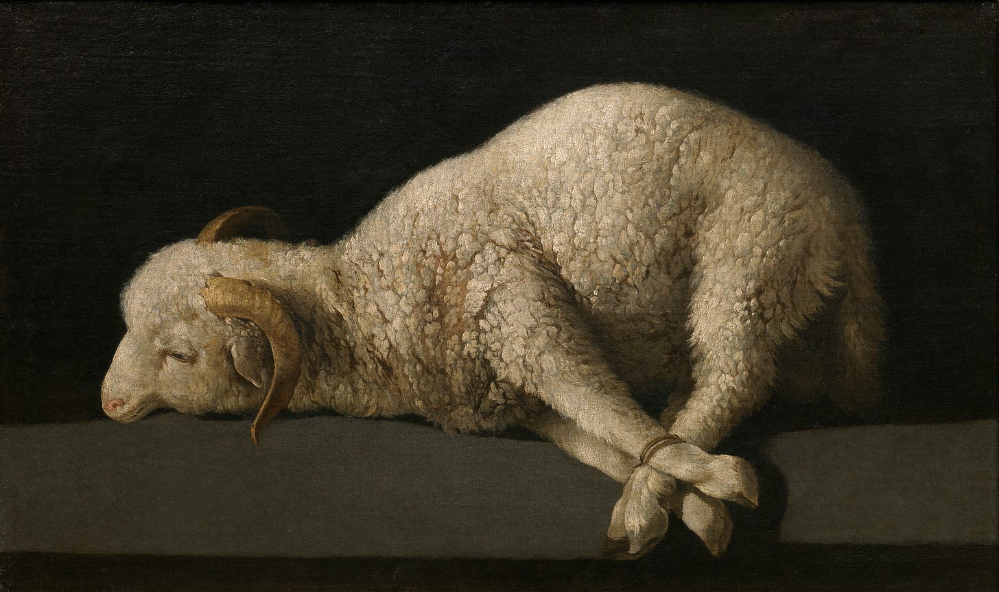 Lamb of God - Wikipedia