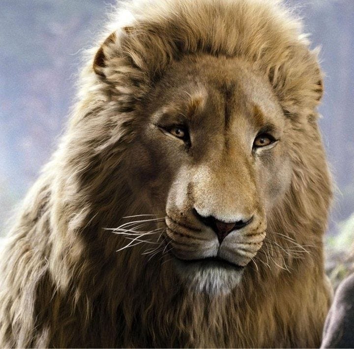 41 best Not a tame lion, but He is GOOD images on Pinterest | Chronicles of narnia, Aslan quotes ...