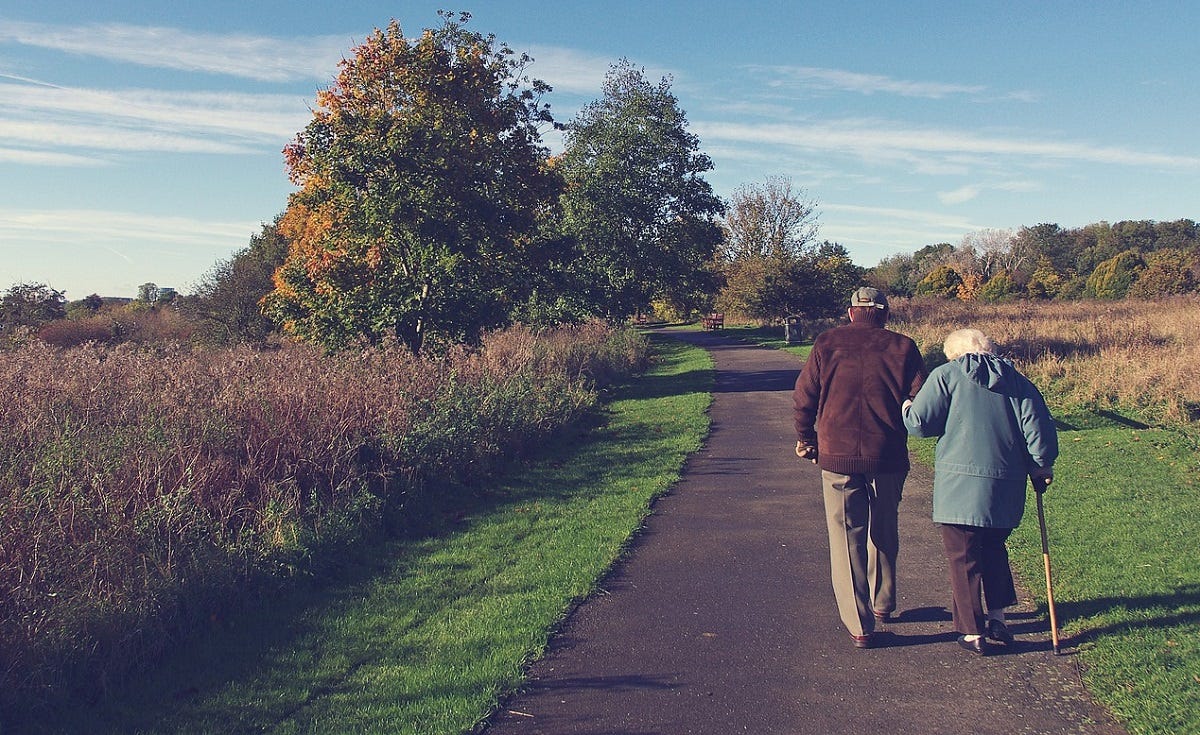 Two elderly people walk along a country lane with their backs to the camera