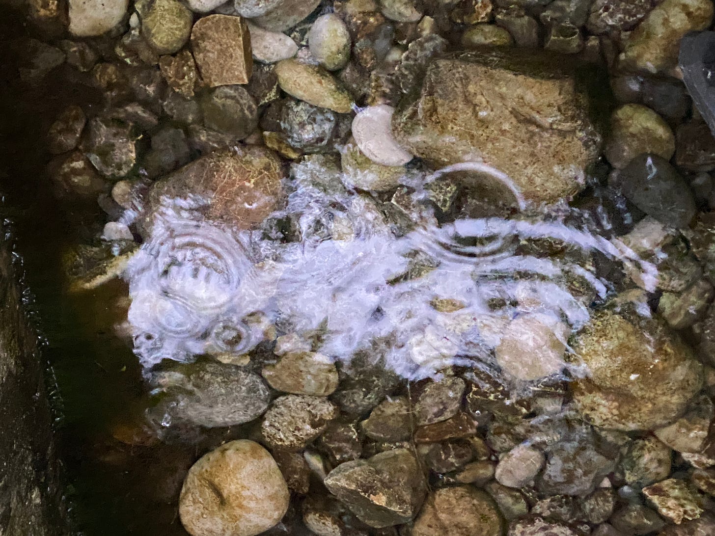 Ripples in a well