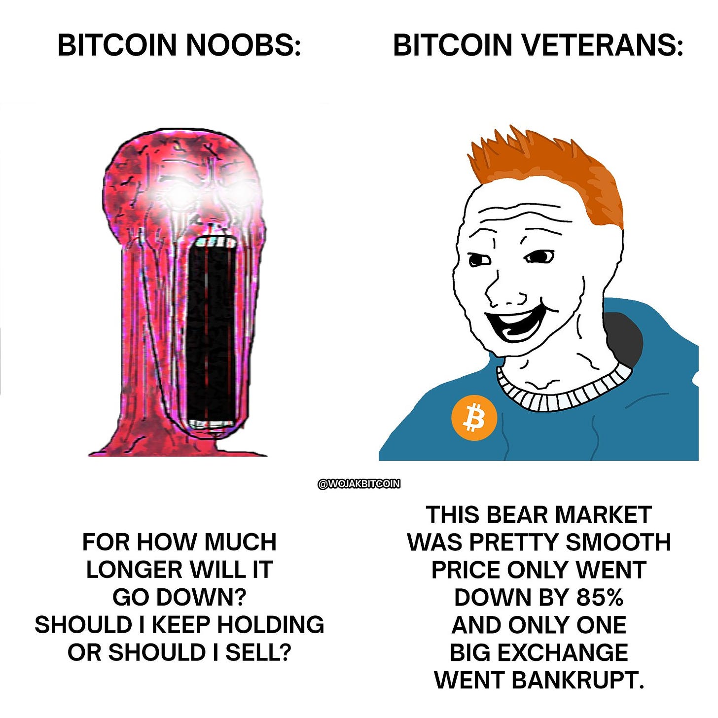 Wojak Bitcoin Memes on X: "This bear market was pretty smooth  https://t.co/zeBCrCpaGz" / X