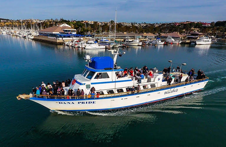 Dana Wharf Sportfishing - Dana Point Harbor